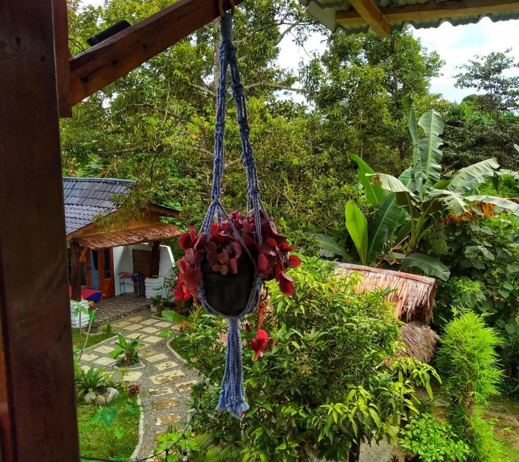 Sumatra Orangutan Discovery Villa Bukit Lawang Exterior photo