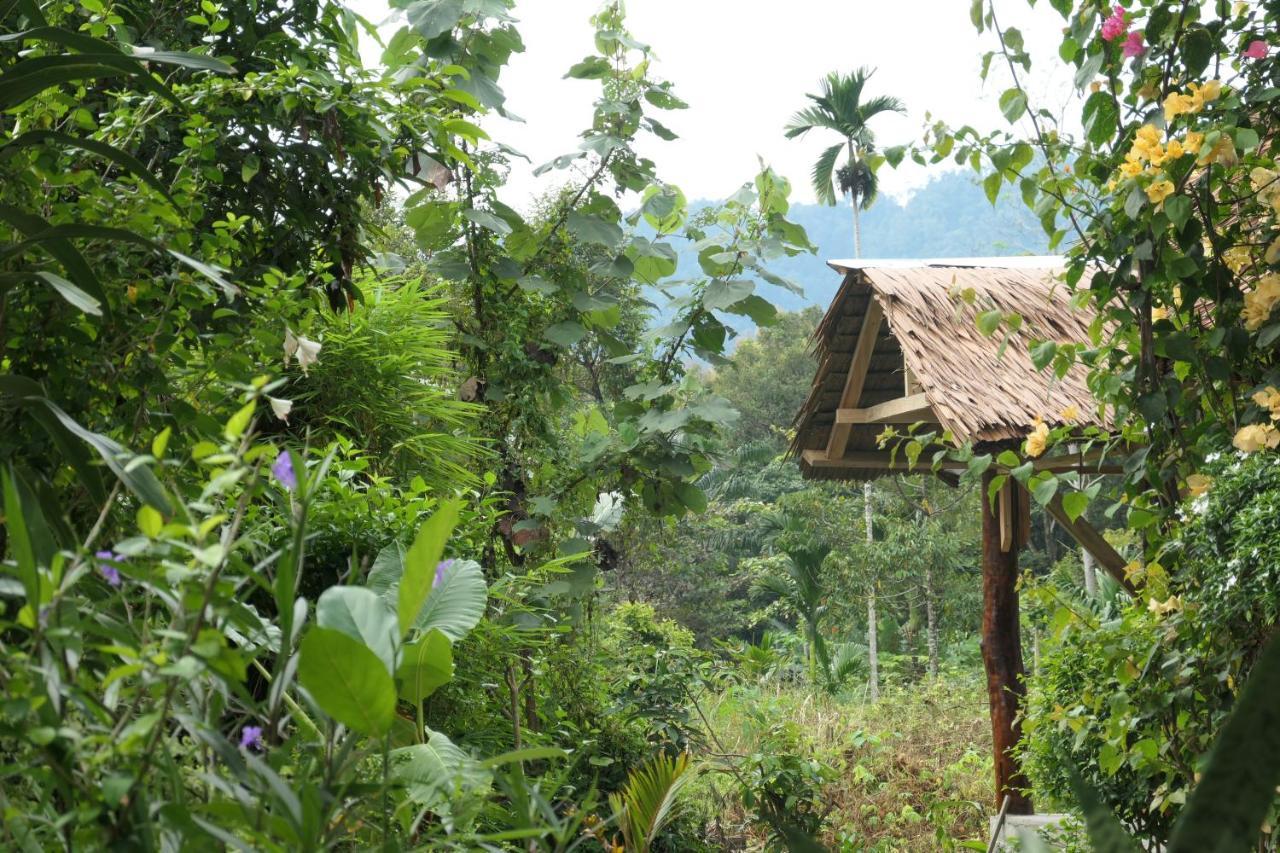 Sumatra Orangutan Discovery Villa Bukit Lawang Exterior photo